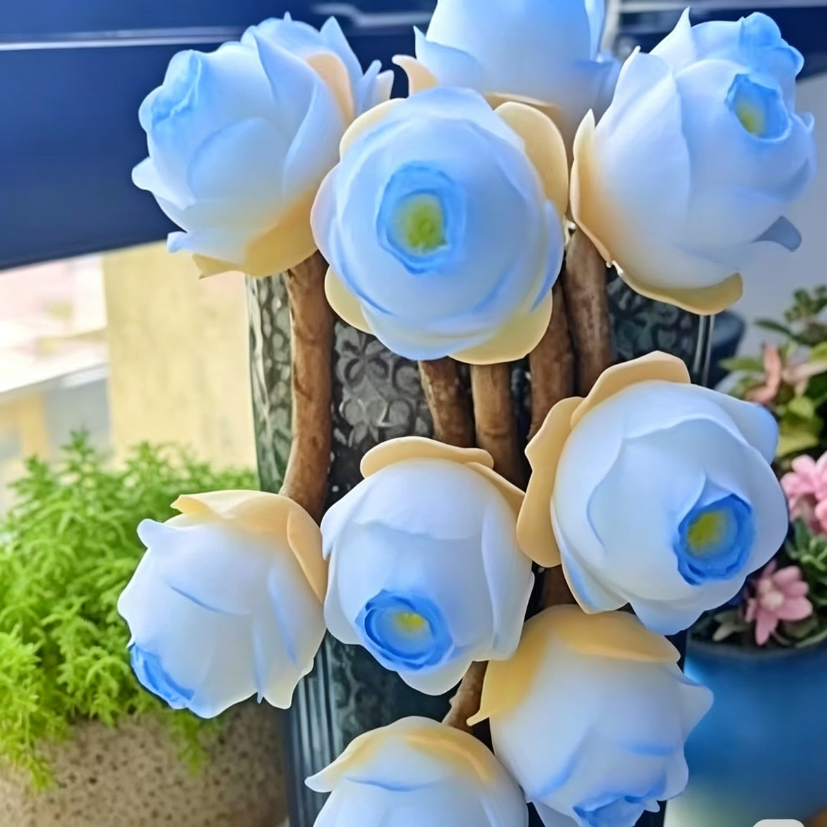 500 Seed-Mixed Colors Mountain Roses Seeds|Potted Flowers, Rar