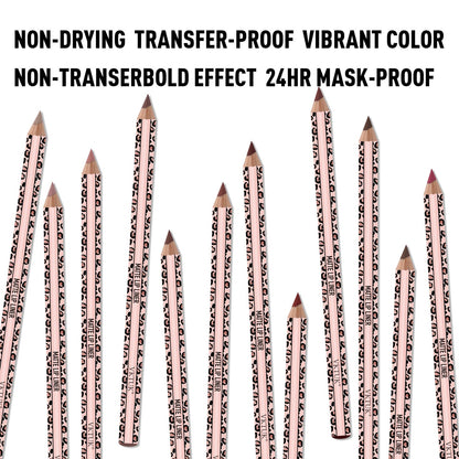 12 Colors Matte Lip Liner Set, Leopard Print Waterproof Long Lasting Lip Pencils