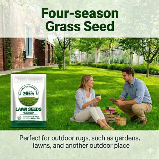 2026 Evergreen Dwarf Grass Seed | For Four Seasons