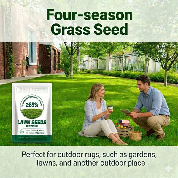 2026 Evergreen Dwarf Grass Seed | For Four Seasons