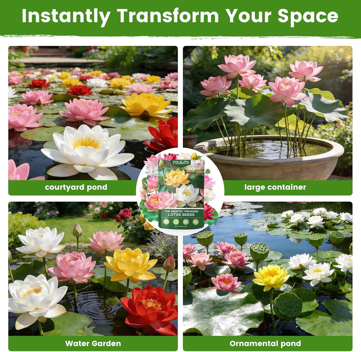 Bonsai Bowl Lotus-50 PCS Mixed Color Bowl Lotus Seeds
