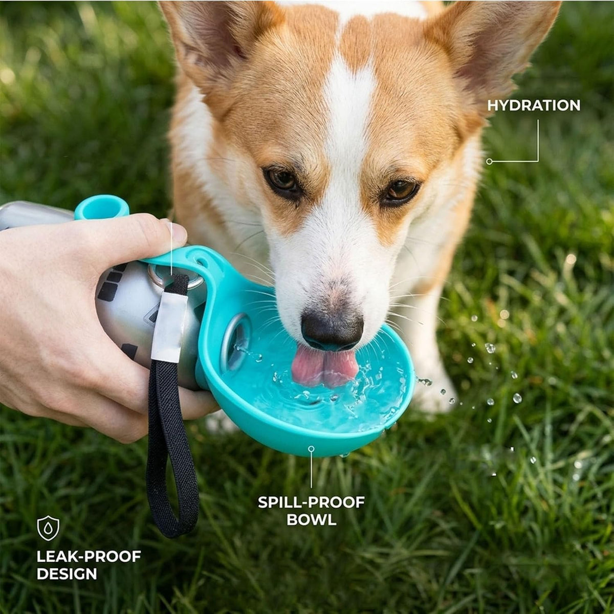 2-in-1 Portable Dog Water Bottle for Small Dogs - Leak Proof & Compact