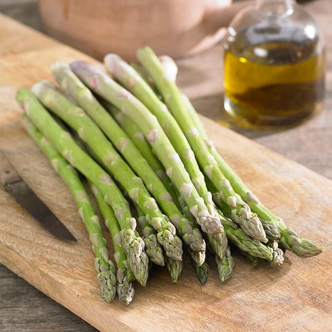 Mary Washington asparagus, a perennial heirloom vegetable(100 Asparagus Seeds)