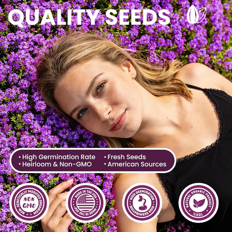 1,000 Creeping Thyme Seeds, Perennial Ground Cover