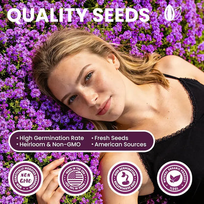 1,000 Creeping Thyme Seeds, Perennial Ground Cover
