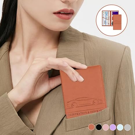 Car Registration and Insurance Holder