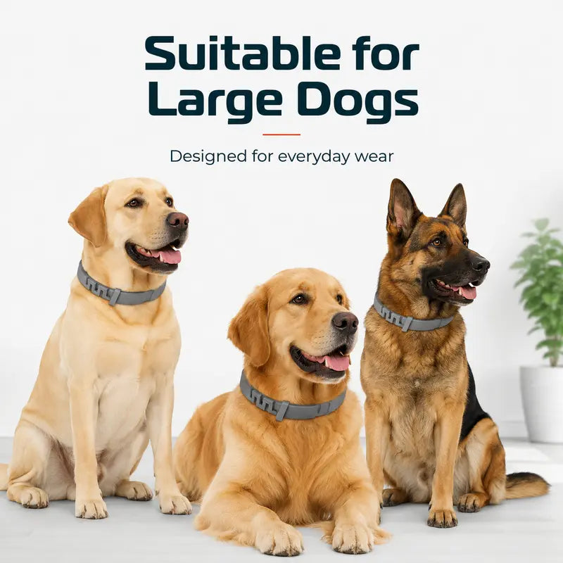 2PCS Adjustable pet collar