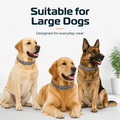 2PCS Adjustable pet collar