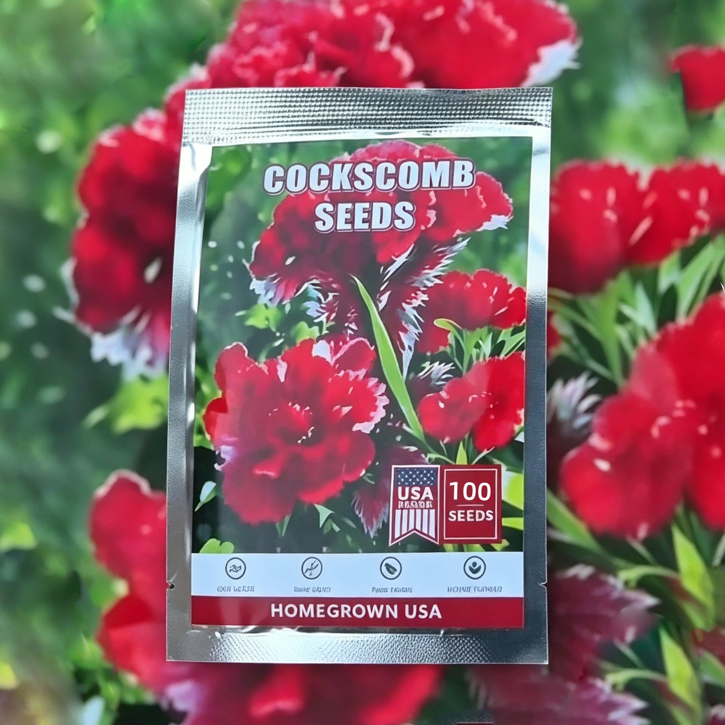 Cockscomb Seeds— Exotic Charm — Also known as the "Velvet Flower" 100 Seeds for Planting