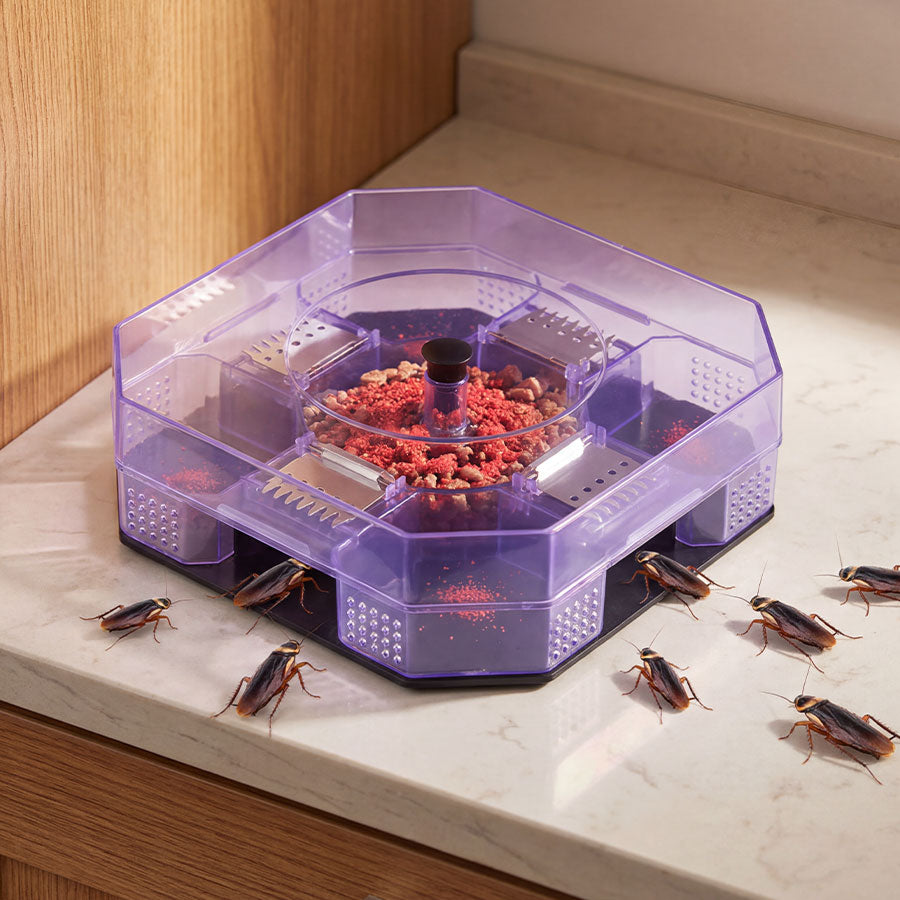 Reusable Effective Roach Trap