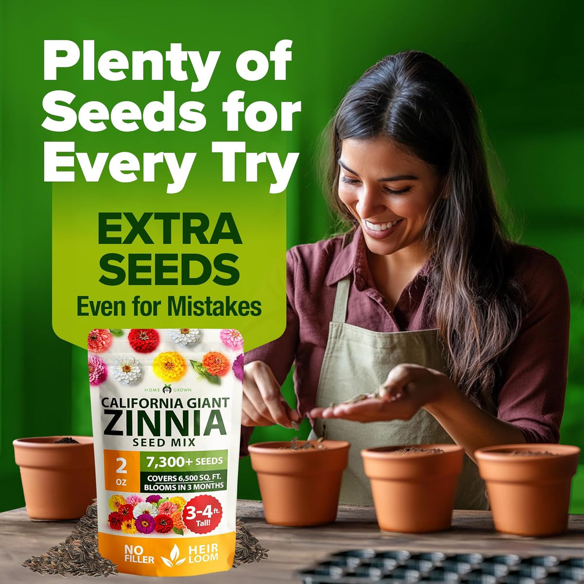 Beautiful Zinnia flowers grown right at home (Zinnia Seeds)