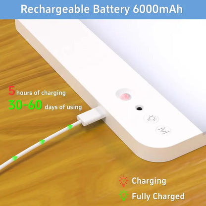 Rechargeable Remote-Controlled Motion-Sensing Ceiling Light