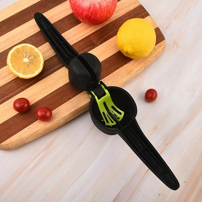 Professional manual juicer