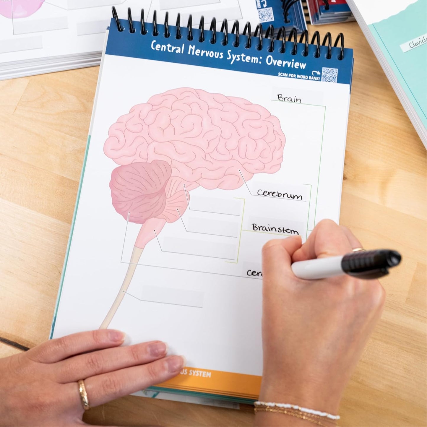 Anatomy & Physiology Student's Label Workbook
