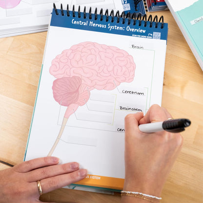 Anatomy & Physiology Student's Label Workbook