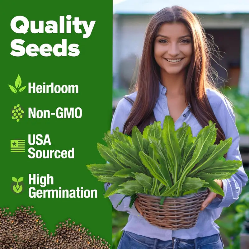 1000+ Culantro Seeds