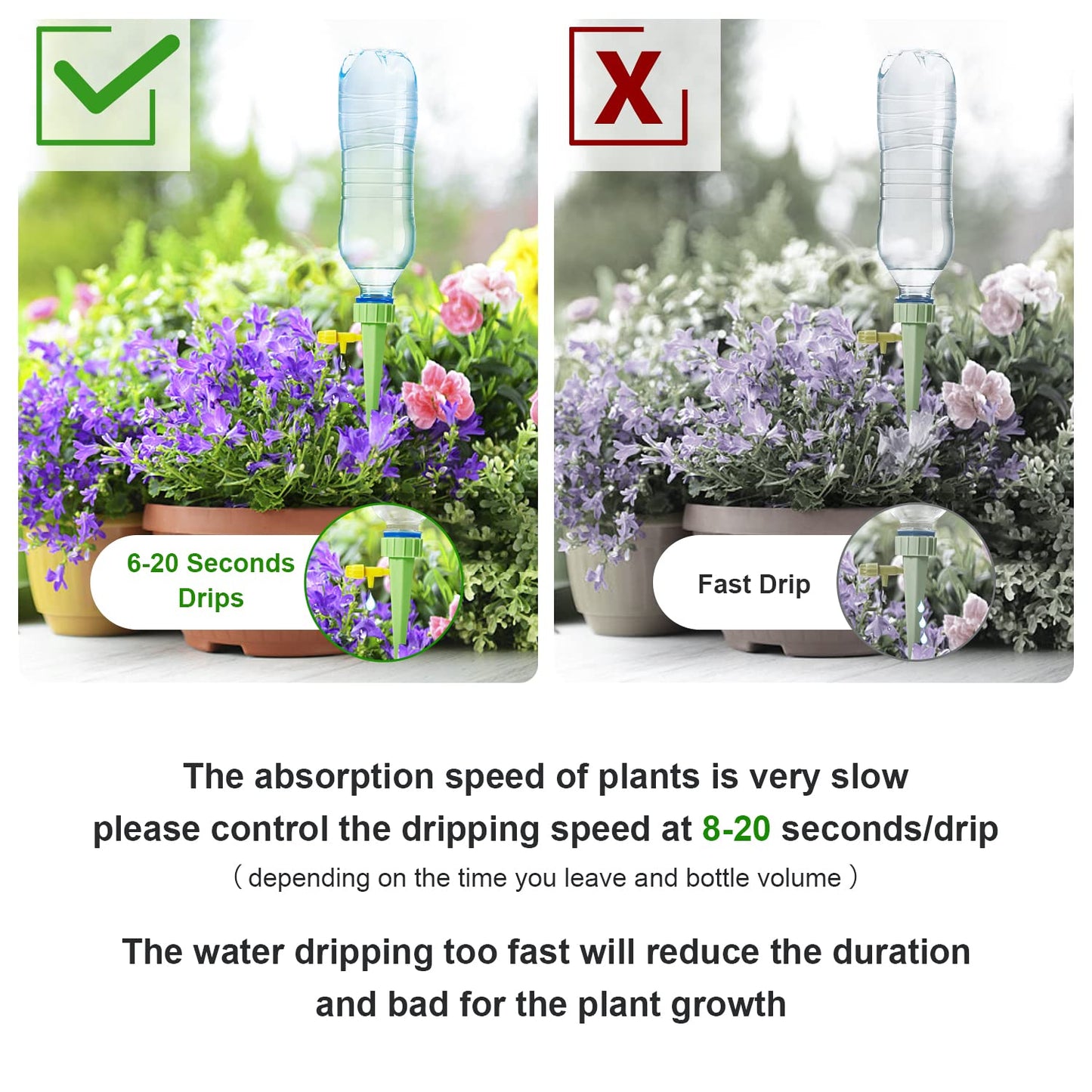 1 Pack of 10 Self Plant Watering Spikes