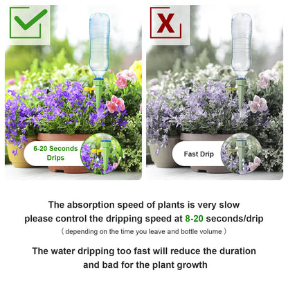 1 Pack of 10 Self Plant Watering Spikes