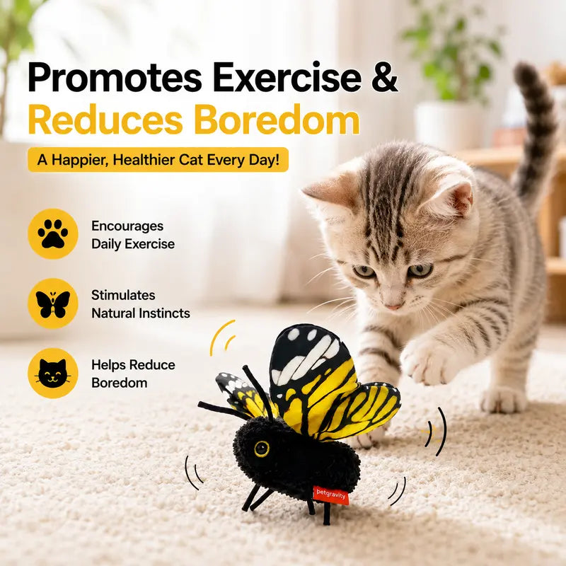 Interactive Electric Butterfly Cat Toy
