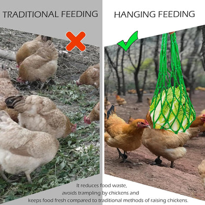 3PCS Chicken Vegetable Fruit Hanging Feeder