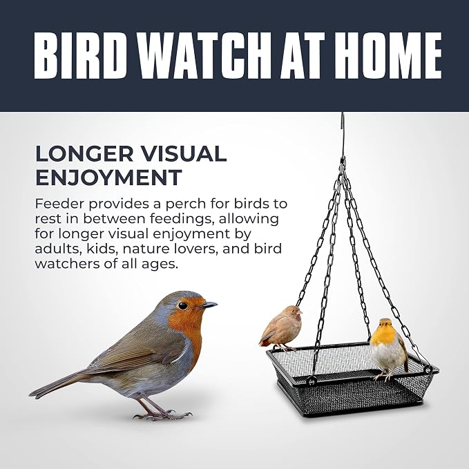 Hanging Bird Feeder for Outdoors