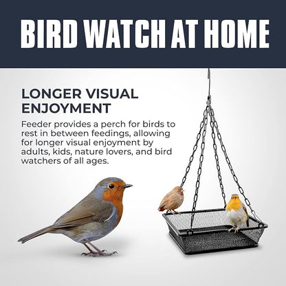 Hanging Bird Feeder for Outdoors