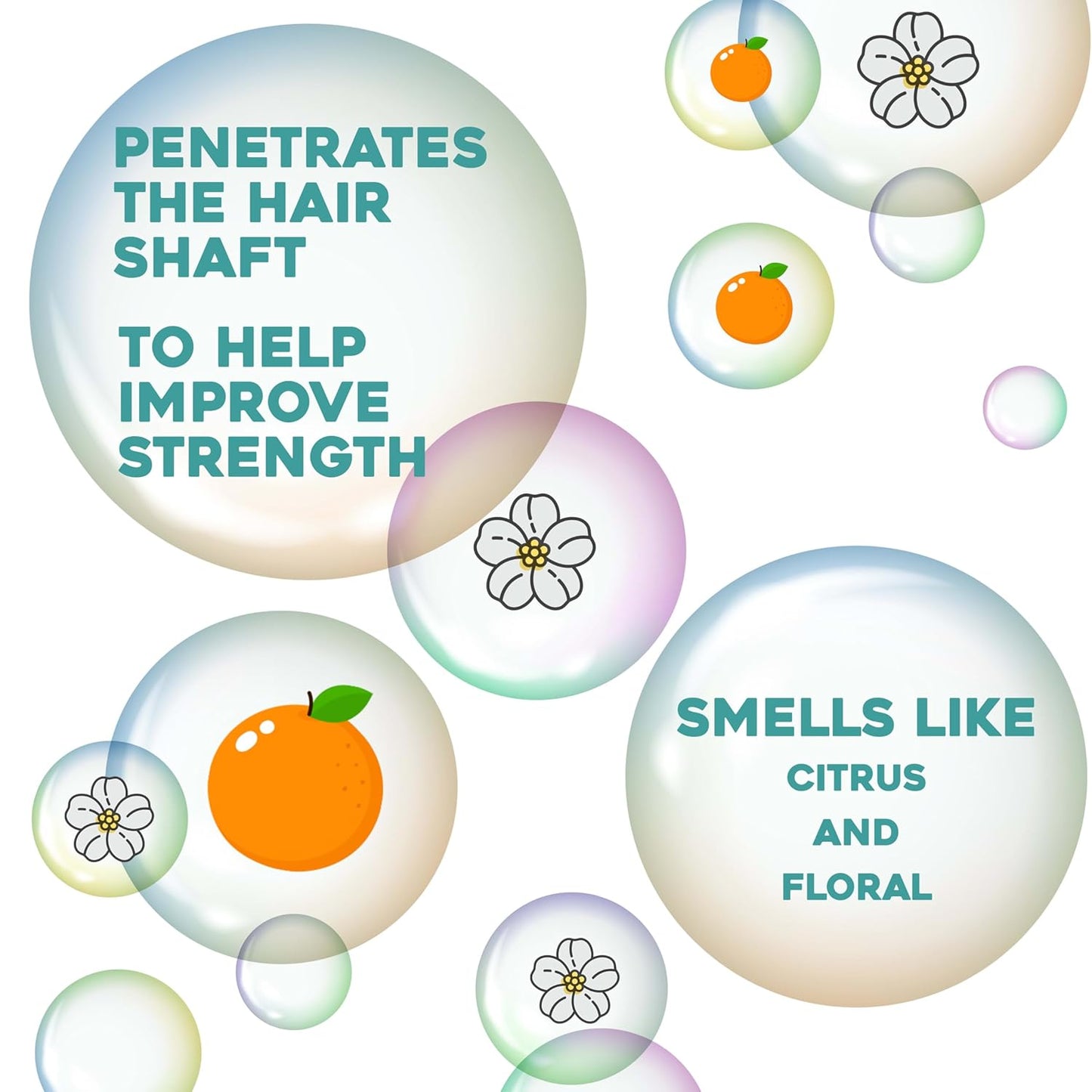Renewing + Argan Oil of Morocco Hair Oil