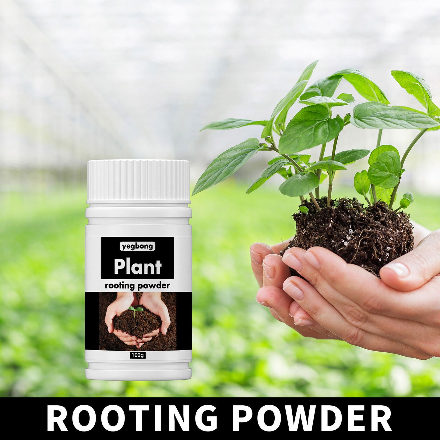 Plant Rooting Nutrient Powder