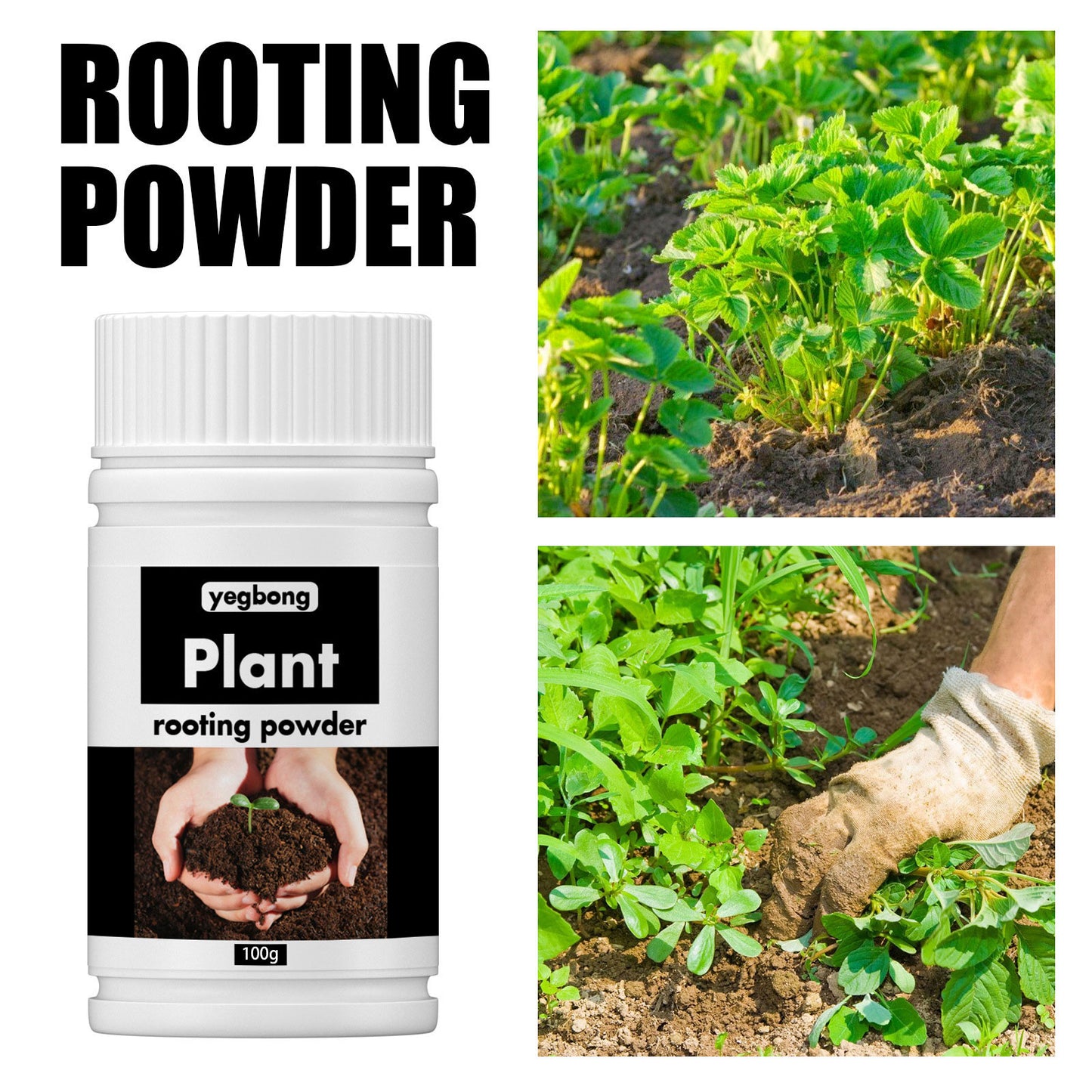 Plant Rooting Nutrient Powder