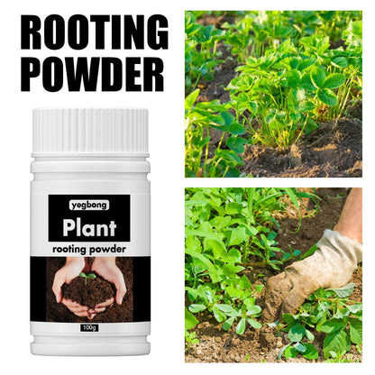 Plant Rooting Nutrient Powder