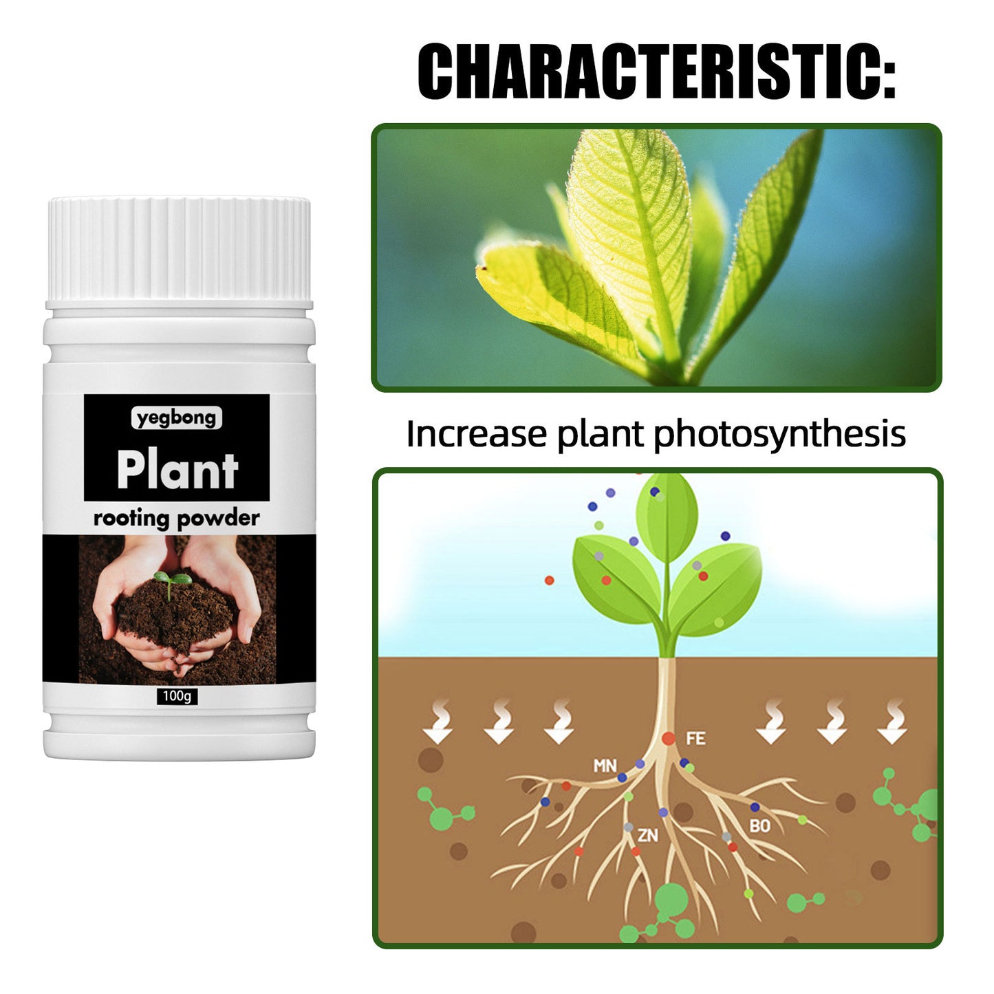Plant Rooting Nutrient Powder
