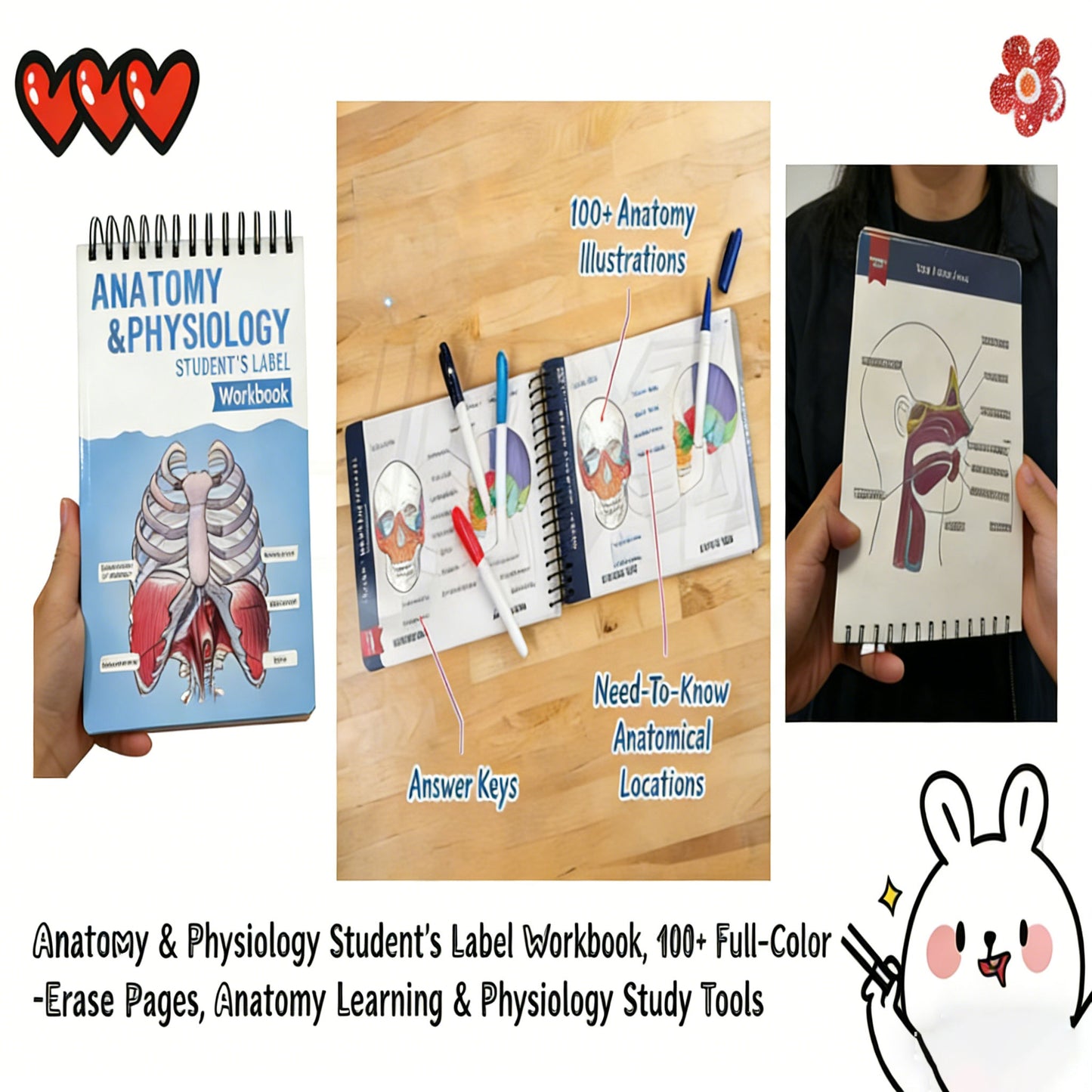 Anatomy & Physiology Student's Label Workbook
