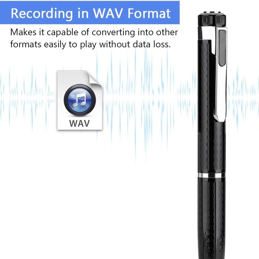 Portable Voice Recorder