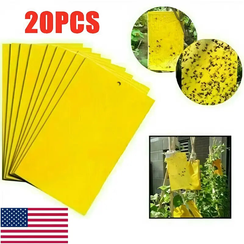 20-Pack Extra-Strong Self-Adhesive Boards—Chemical-Free Moth Traps