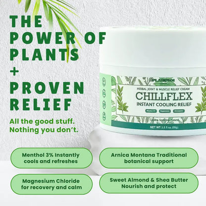 2PCS Menthol Joint Pain Relief Ointment