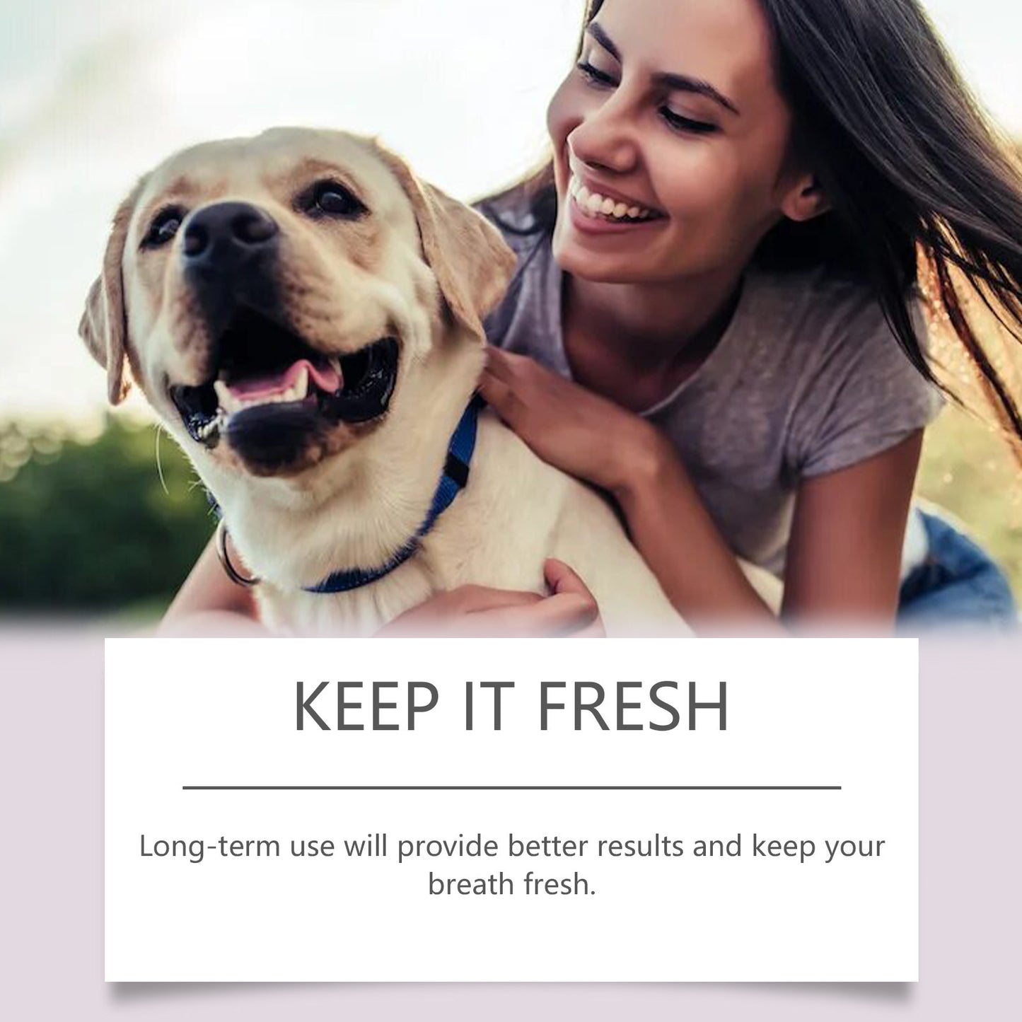 2PCS Pet-specific dental cleaning toothbrush