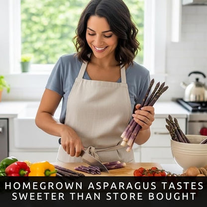 Purple Asparagus Seeds