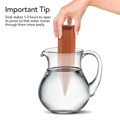 Ceramic Terracotta Self Watering Spikes (2 PCS)