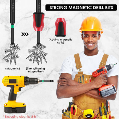 18-Piece Magnetic Phillips Drill Bit Set