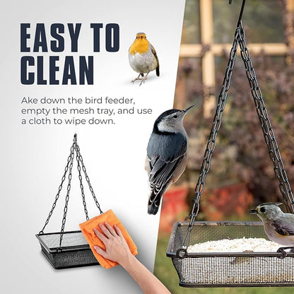 Hanging Bird Feeder for Outdoors