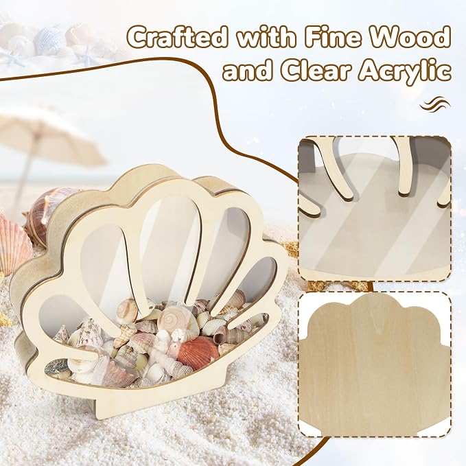 Wooden Seashell Display Case with Clear Window