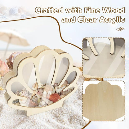 Wooden Seashell Display Case with Clear Window