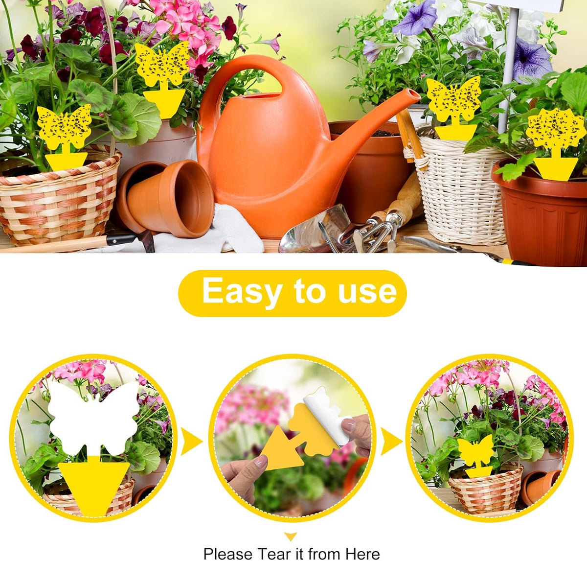 30 Pack Yellow Sticky Traps, Fungus Gnat Traps