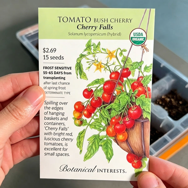 Dwarf Potted Tomatoes-100 Dwarf Tomato Seeds