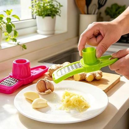 2PCS Small manual garlic press