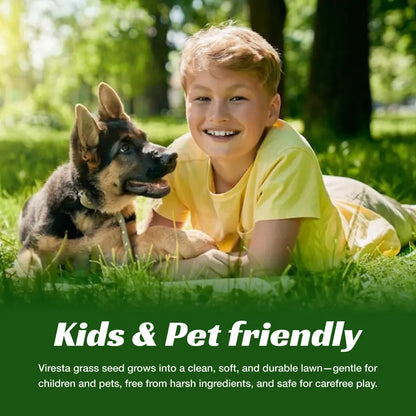 Sun-loving and shade-tolerant – High-quality, cold-hardy turfgrass（A Packet of Lawn Seed）