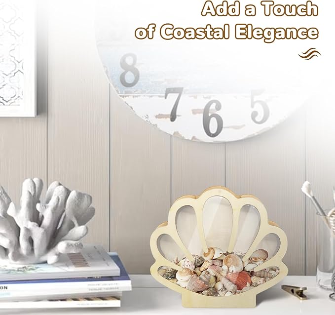 Wooden Seashell Display Case with Clear Window