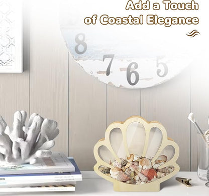 Wooden Seashell Display Case with Clear Window