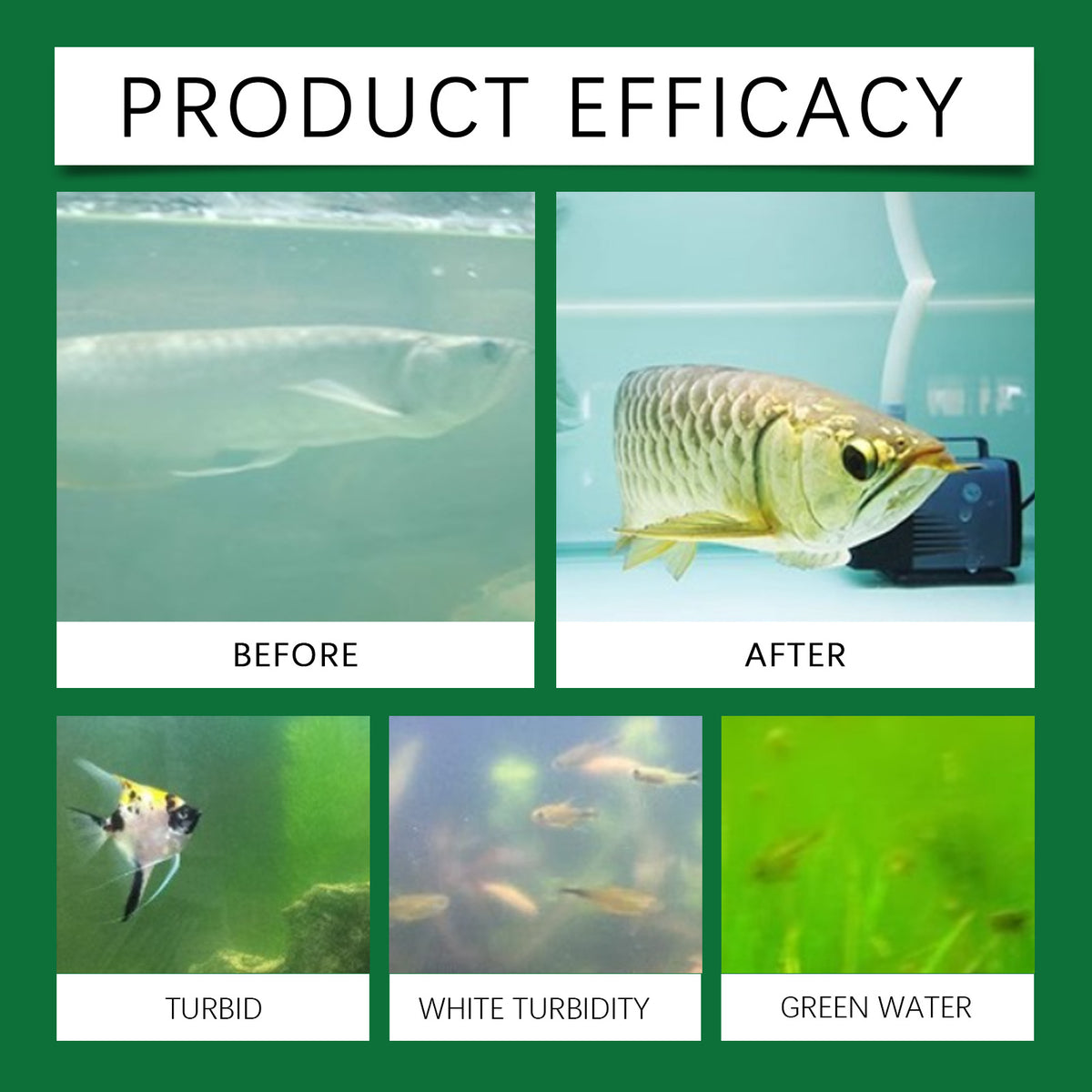 Aquarium Water Clarifying Tablets for Algae Control and Sludge Management