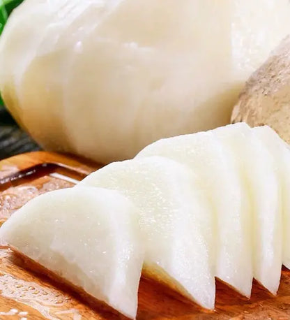 Jicama Seeds for Planting – Crunchy Sweet Root Vegetable（200 Jicama Seeds）